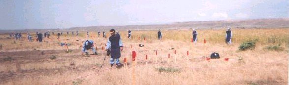 demining01.jpg (22261 bytes)
