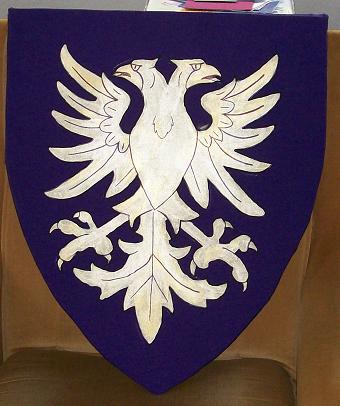How do I make a corflute shield? - Gear - Diatribe