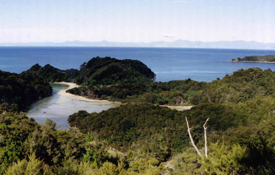 AbelTasman1.jpg (54955 bytes)
