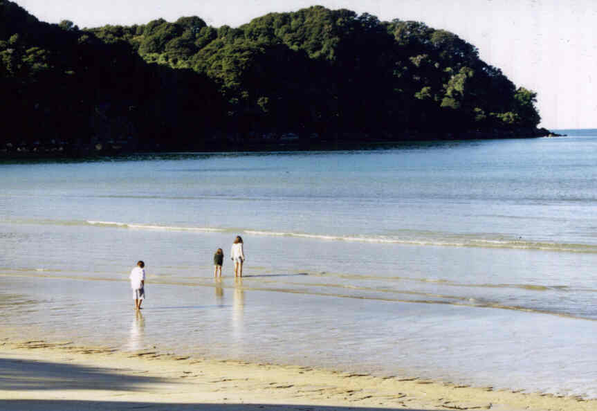 AbelTasman4.jpg (37144 bytes)