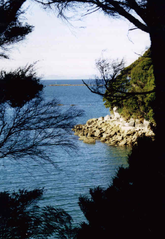 AbelTasman6.jpg (63411 bytes)