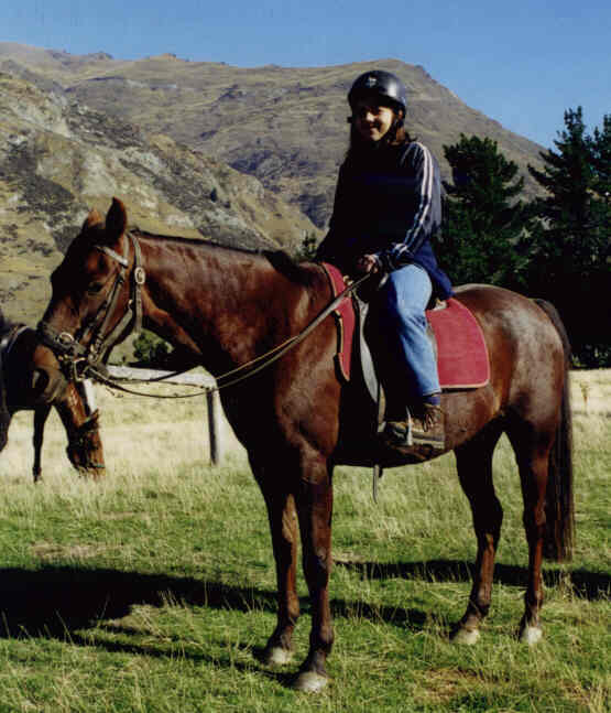 Horse3.jpg (43153 bytes)