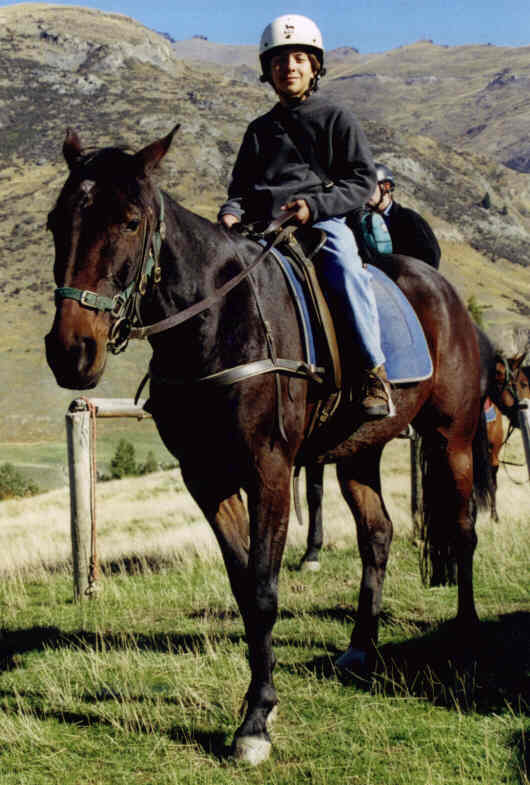 Horse4.jpg (51774 bytes)