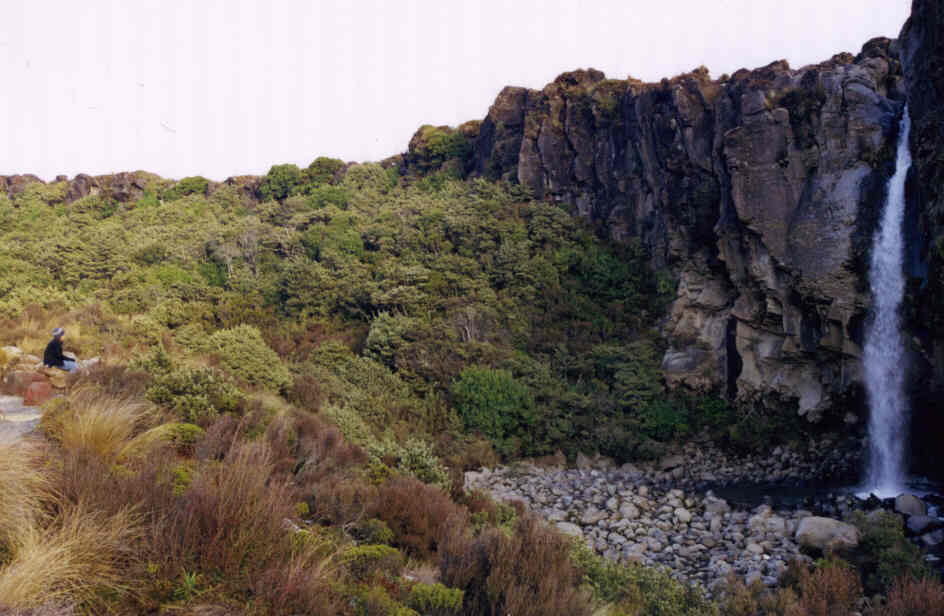 TongWint3.jpg (61069 bytes)
