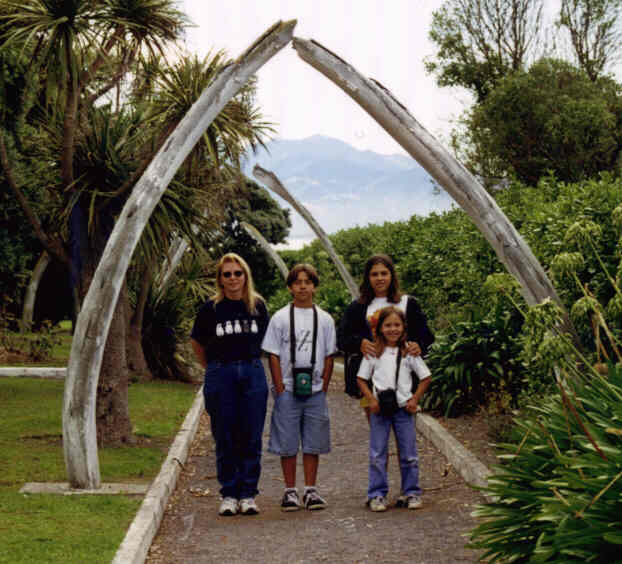 kaikoura1.jpg (47053 bytes)