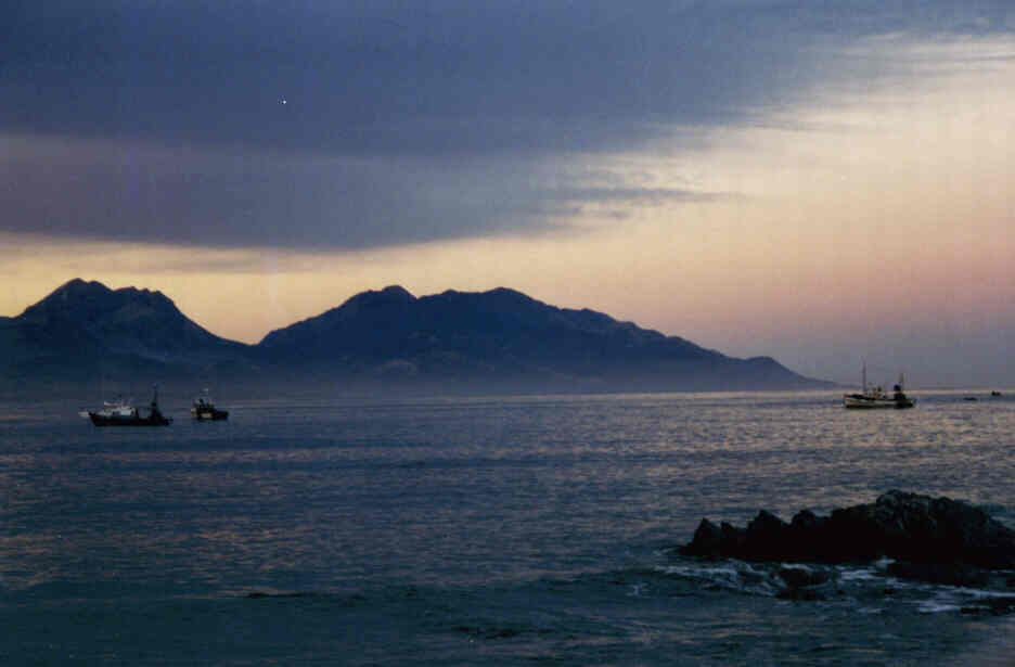 kaikoura2.jpg (31487 bytes)